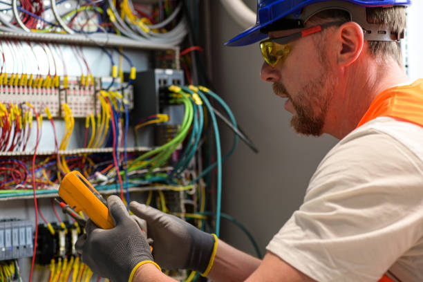Best Electric Panel Repair  in Laurium, MI