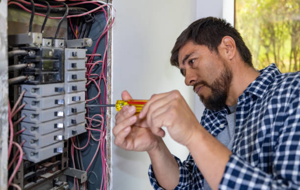 Best Generator Installation Services  in Laurium, MI